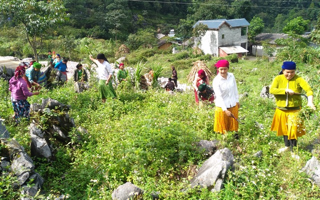 Hội LHPN xã Sảng Tủng thực hiện cải tạo vườn tạp, vệ sinh ngõ xóm tại thôn