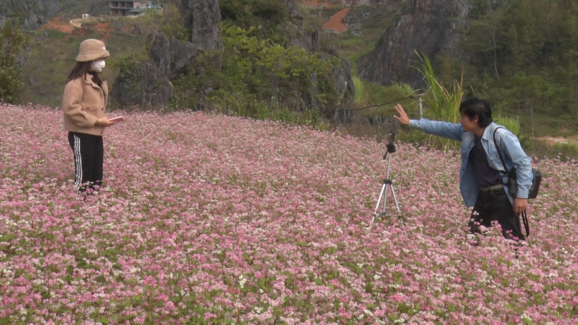 Hà Giang hoàn tất công tác chuẩn bị cho chương trình online mùa hoa tam giác mạch
